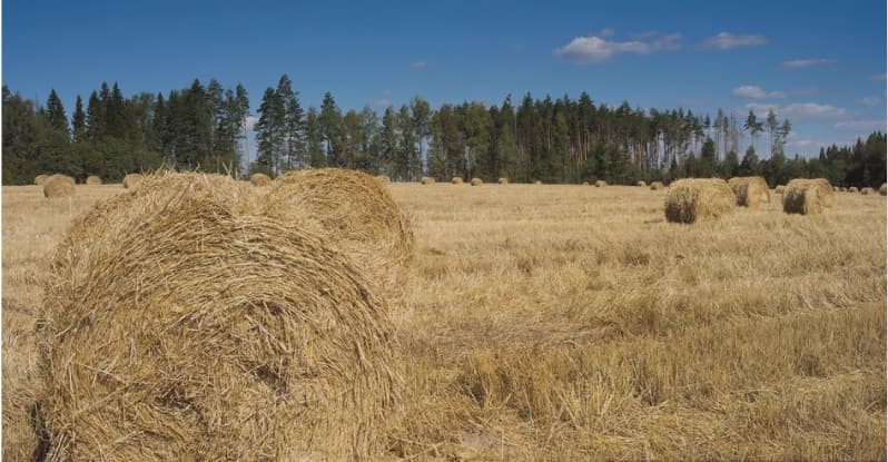 农业种植废弃物处理