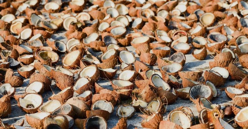 食品加工废弃物处理